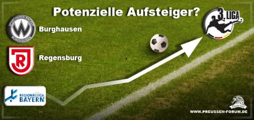 Potenzielle Aufsteiger 2015/2016 – Regionalliga Bayern