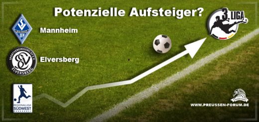 Potenzielle Aufsteiger 2015/2016 – Regionalliga Südwest