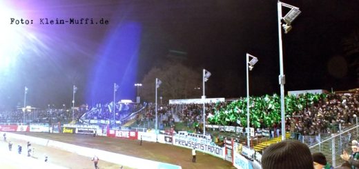 2016/2017 - Spielbericht - SC Preußen Münster - Chemnitzer FC - 1:0