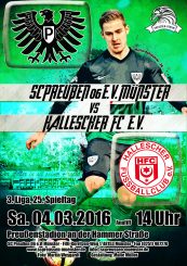 2016/2017 - 25. Spieltag - Preußen Münster - Hallescher FC