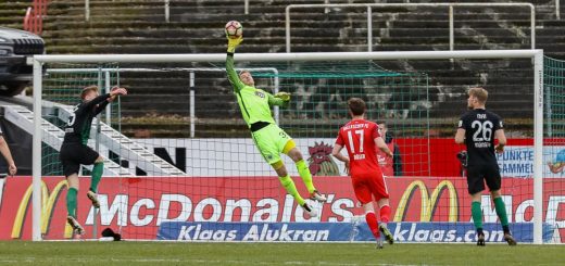 2016/2017 - Spielbericht - SC Preußen Münster - Hallescher FC - 1:1