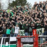 2016/2017 - Spielbericht - SC Preußen Münster - Hallescher FC - 1:1