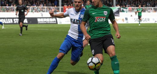 2017/2018 - Spielbericht - SC Preußen Münster - 1. FC Magdeburg - 0:1