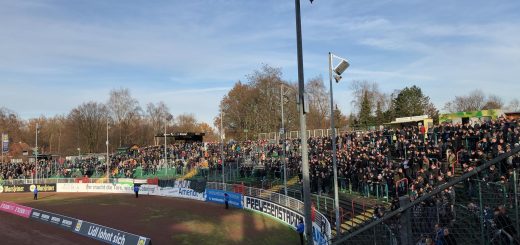 2018/2019 - Spielbericht - SC Preußen Münster - Hallescher FC - 1:2