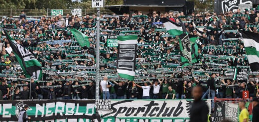 2023/ 2024 - Vorschau - SC Preußen Münster - TSV 1860 München