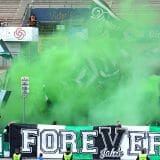 2013/2014 Deviants Choreo im Hinspiel in Saarbrücken 2:2