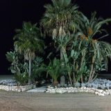 Trainingslager in Estepona