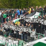 Deviants Transparent zu Dominik Schmidt