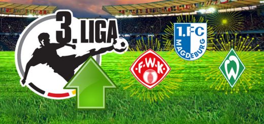 Die Aufsteiger aus der Regionalliga in die 3. Liga 2014/2015